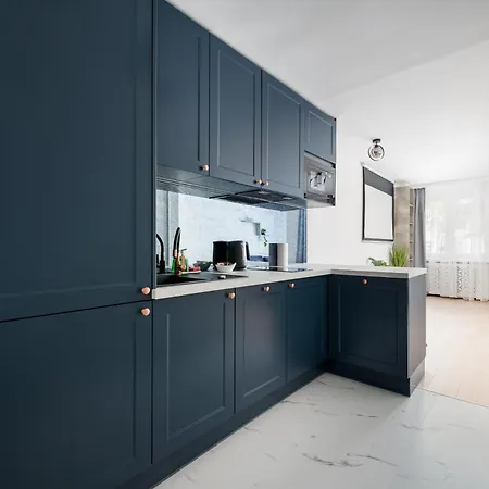 Plac Dabrowskiego Navy By Bookinghost Apartamento